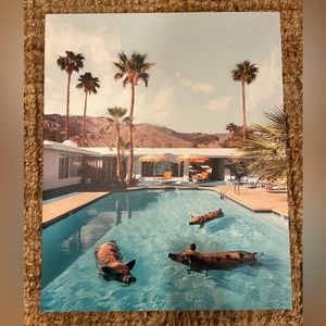 Canvas Picture with Swimming Pigs